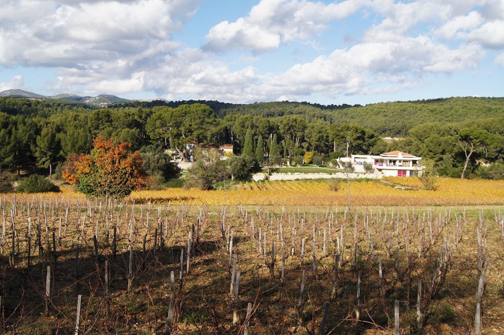 Как построить винный погреб в своем доме? Советы мастеров в репортаже из французской винодельни