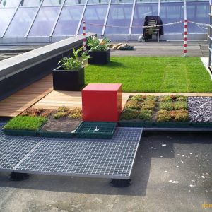 Зеленые кровли: Можно ли на крыше устроить газон?