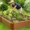 Как соорудить высокие грядки для огорода