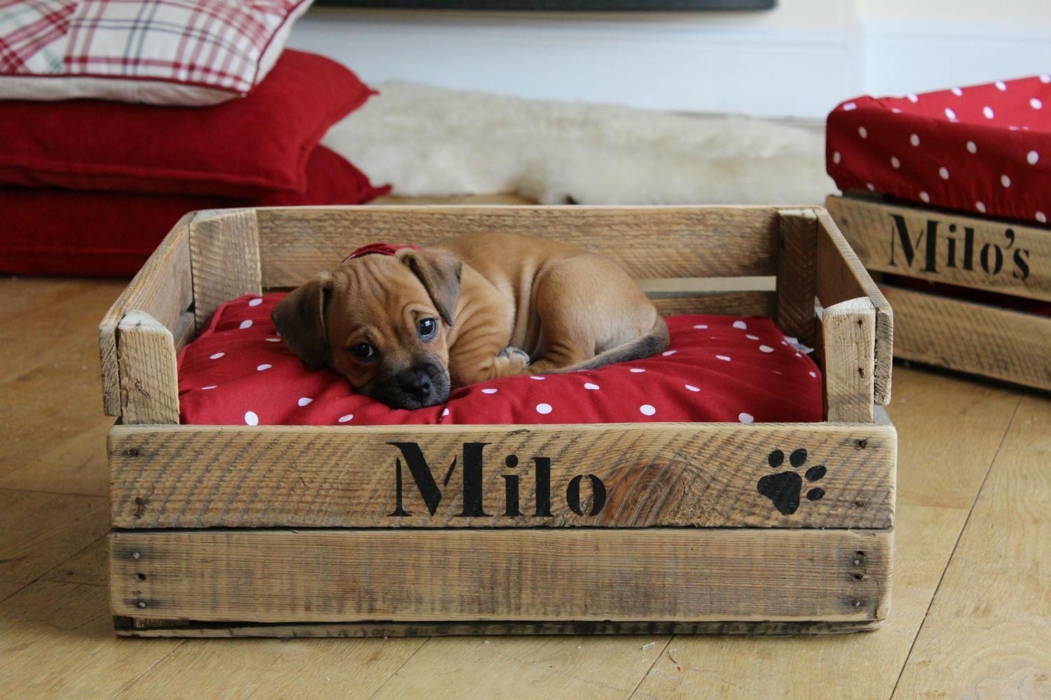 Лежанка для собаки своими руками: мягкие тканевые гнёздышки и миниатюрные деревянные диваны